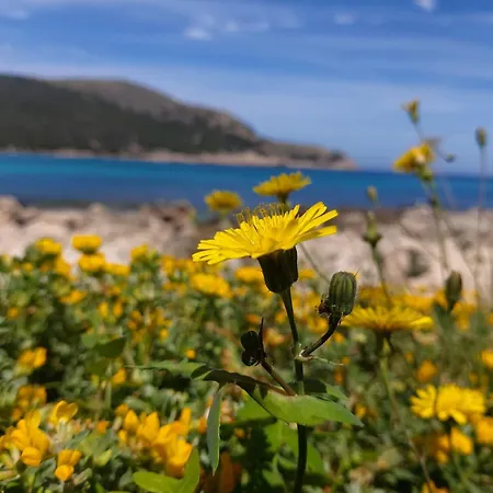 Holiday home Yourhouse Son Jaumell *