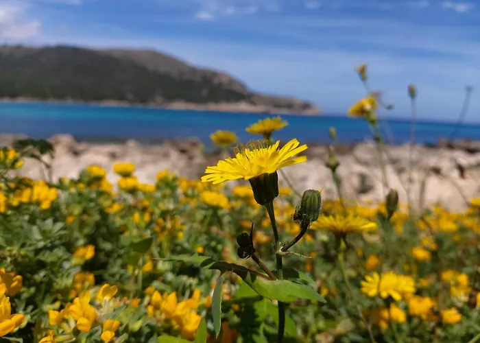 Ferienhaus Yourhouse Son Jaumell *